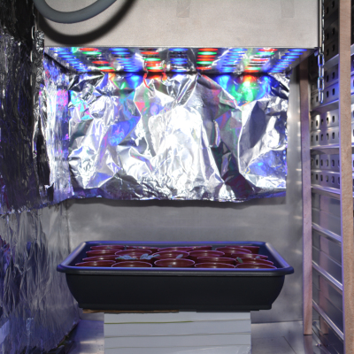 LED lighting for plants